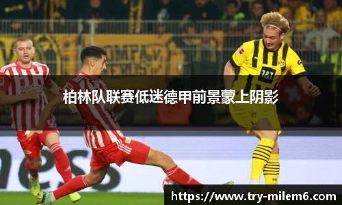 米乐体育官方网站