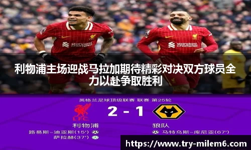 米乐体育官方网站