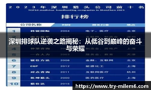 深圳排球队逆袭之路揭秘：从低谷到巅峰的奋斗与荣耀