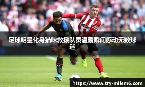 足球明星化身猫咪救援队员温暖瞬间感动无数球迷